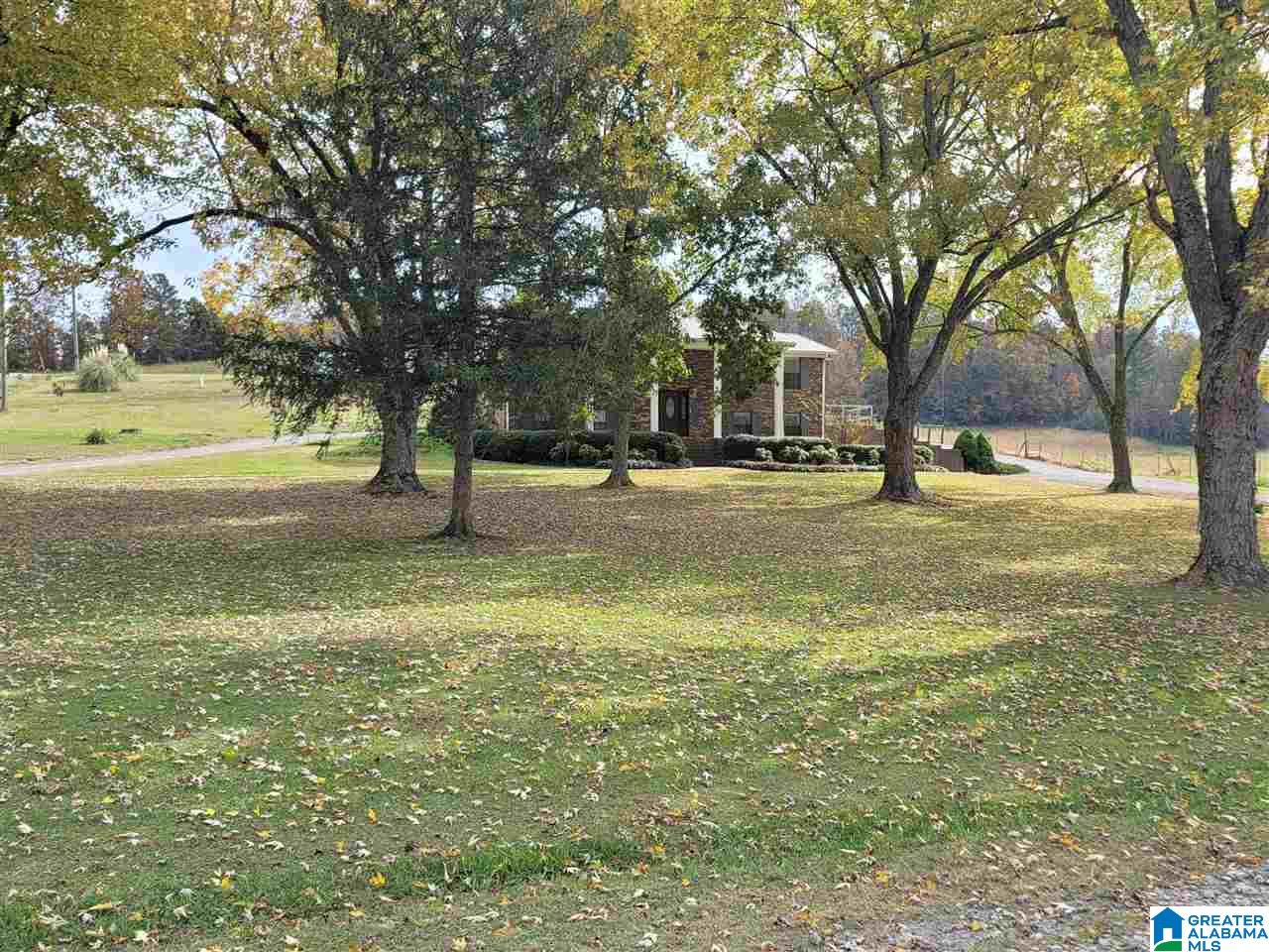 2182 Pitt Road Blountsville, AL 35031 - Photo 3 of 34