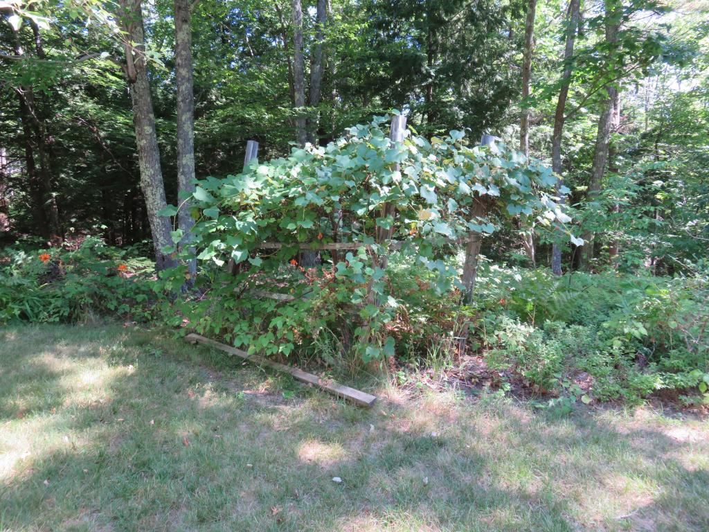 1006 Highway 119 Rindge, NH 03461 - Photo 23 of 27