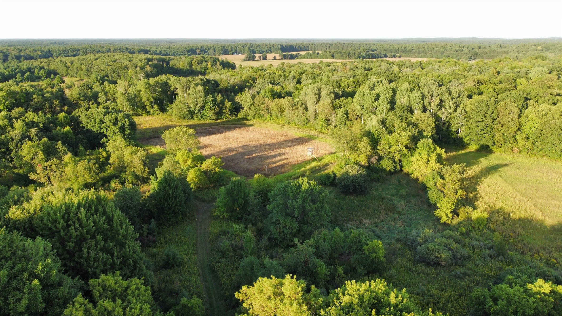 Lot 3 340th Avenue Frederic, WI 54837 - Photo 6 of 14 Gallery Image 6