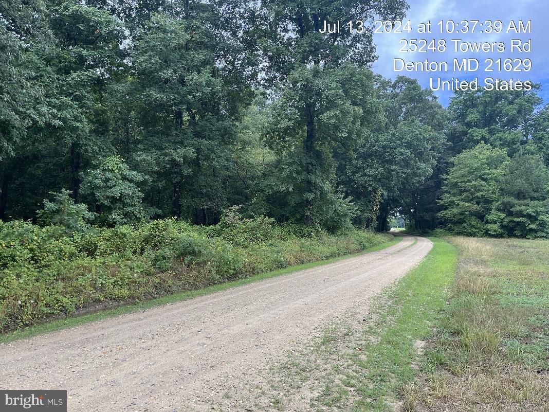 25248 Towers Road Denton, MD 21629 - Photo 5 of 27 Street view