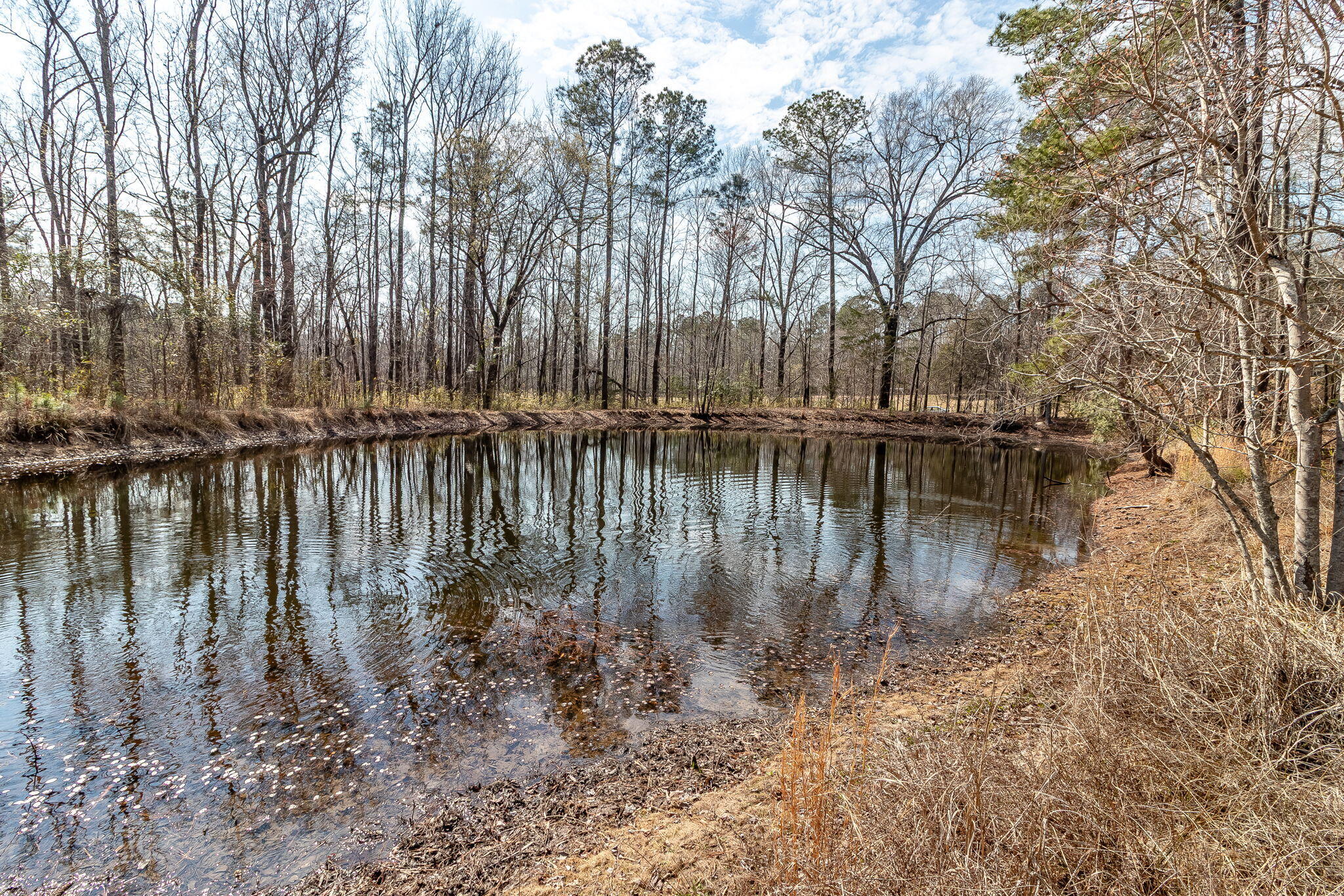 1330 Freeman Harriss Road Harlem, GA 30814 - Photo 49 of 51 49-web-or-mls-1330 FREEMAN HARRISS RD ©-