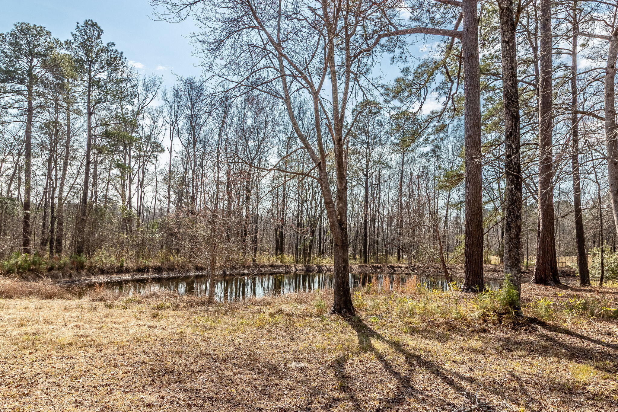 1330 Freeman Harriss Road Harlem, GA 30814 - Photo 50 of 51 50-web-or-mls-1330 FREEMAN HARRISS RD ©-