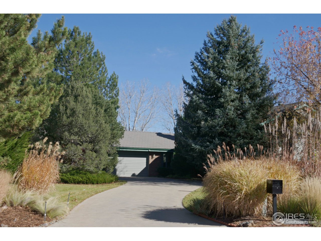 6220 Old Brompton Road Boulder, CO 80301 - Photo 1 of 25 a view of backyard of house with trees