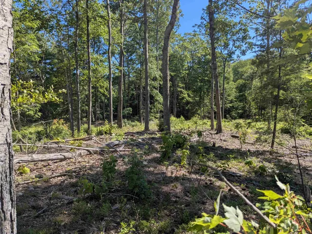 $169,900 | 0 Old Hinsdale Road, Winchester, NH 03470