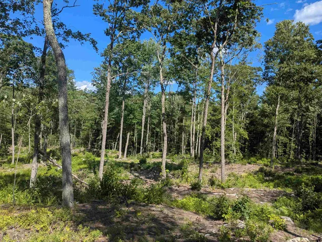 $169,900 | 0 Old Hinsdale Road, Winchester, NH 03470