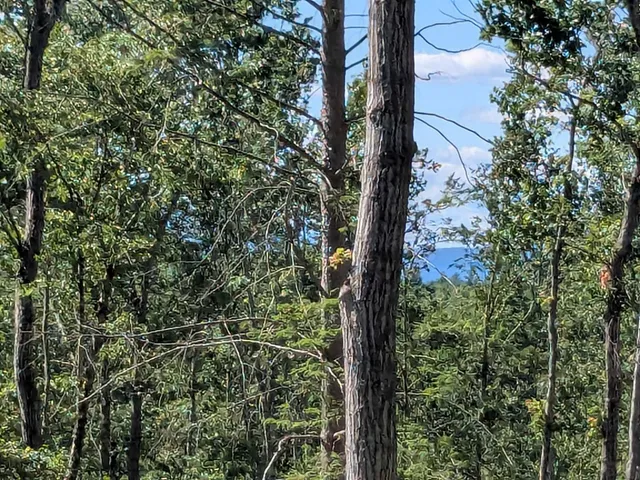 $169,900 | 0 Old Hinsdale Road, Winchester, NH 03470