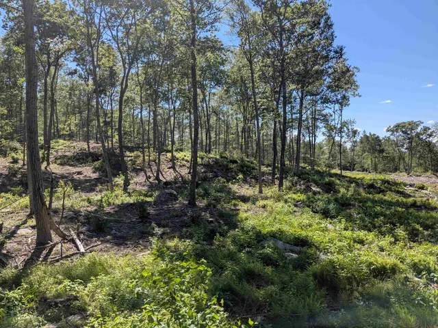 $169,900 | 0 Old Hinsdale Road, Winchester, NH 03470