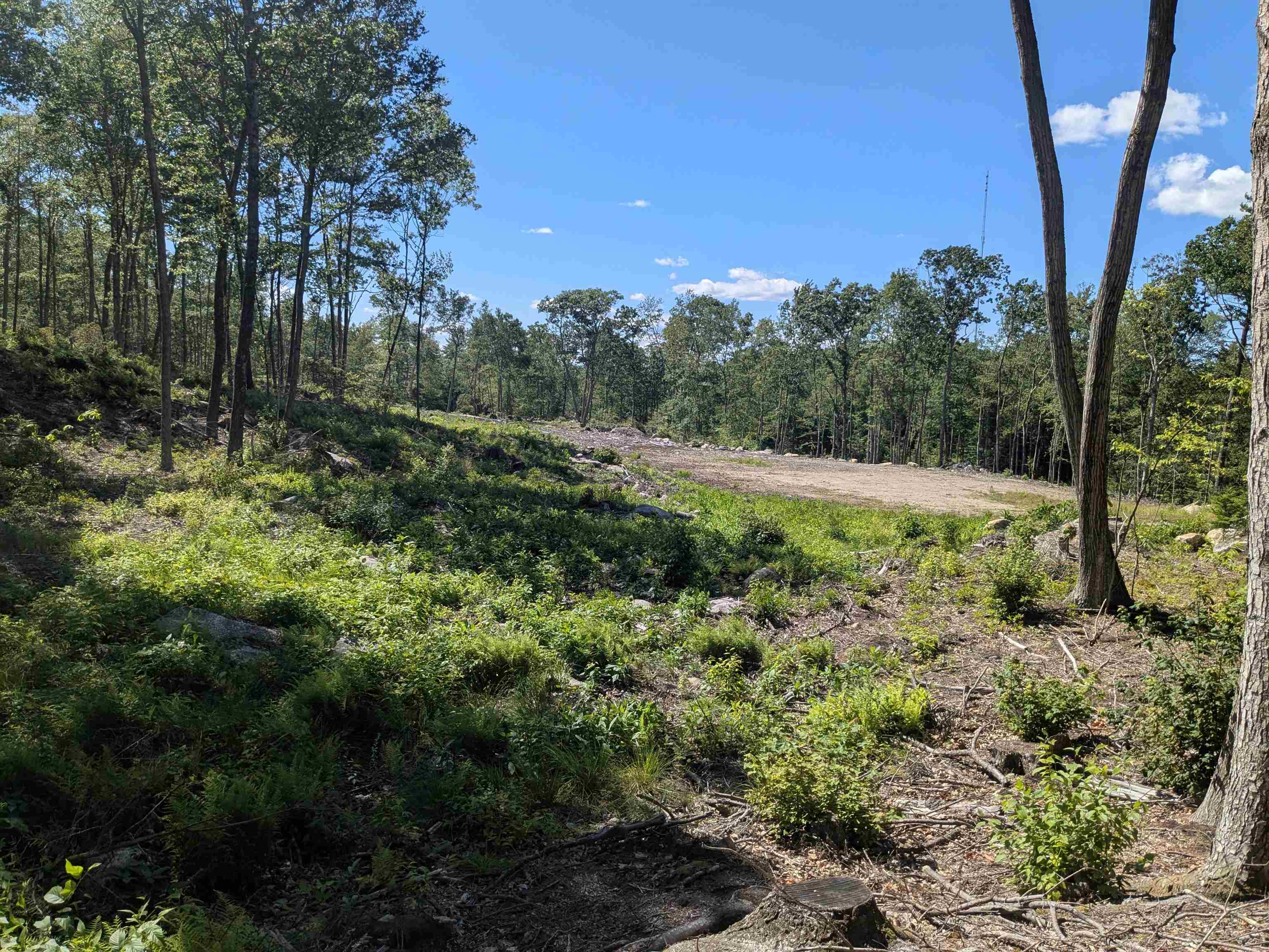 0 Old Hinsdale Road Winchester, NH 03470 - Photo 5 of 16