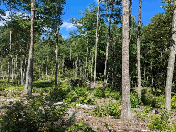 $169,900 | 0 Old Hinsdale Road, Winchester, NH 03470