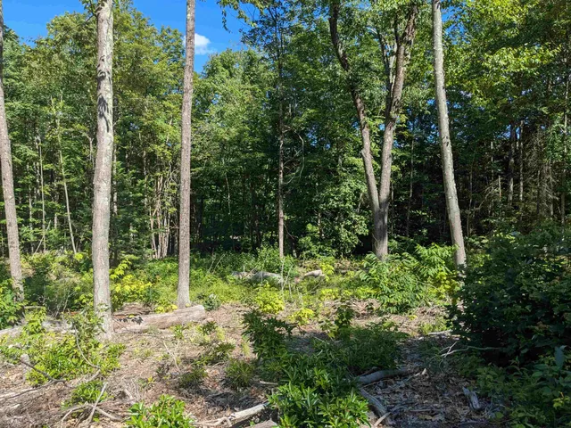 $169,900 | 0 Old Hinsdale Road, Winchester, NH 03470