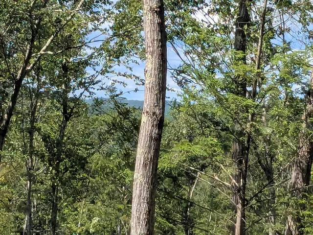 $169,900 | 0 Old Hinsdale Road, Winchester, NH 03470