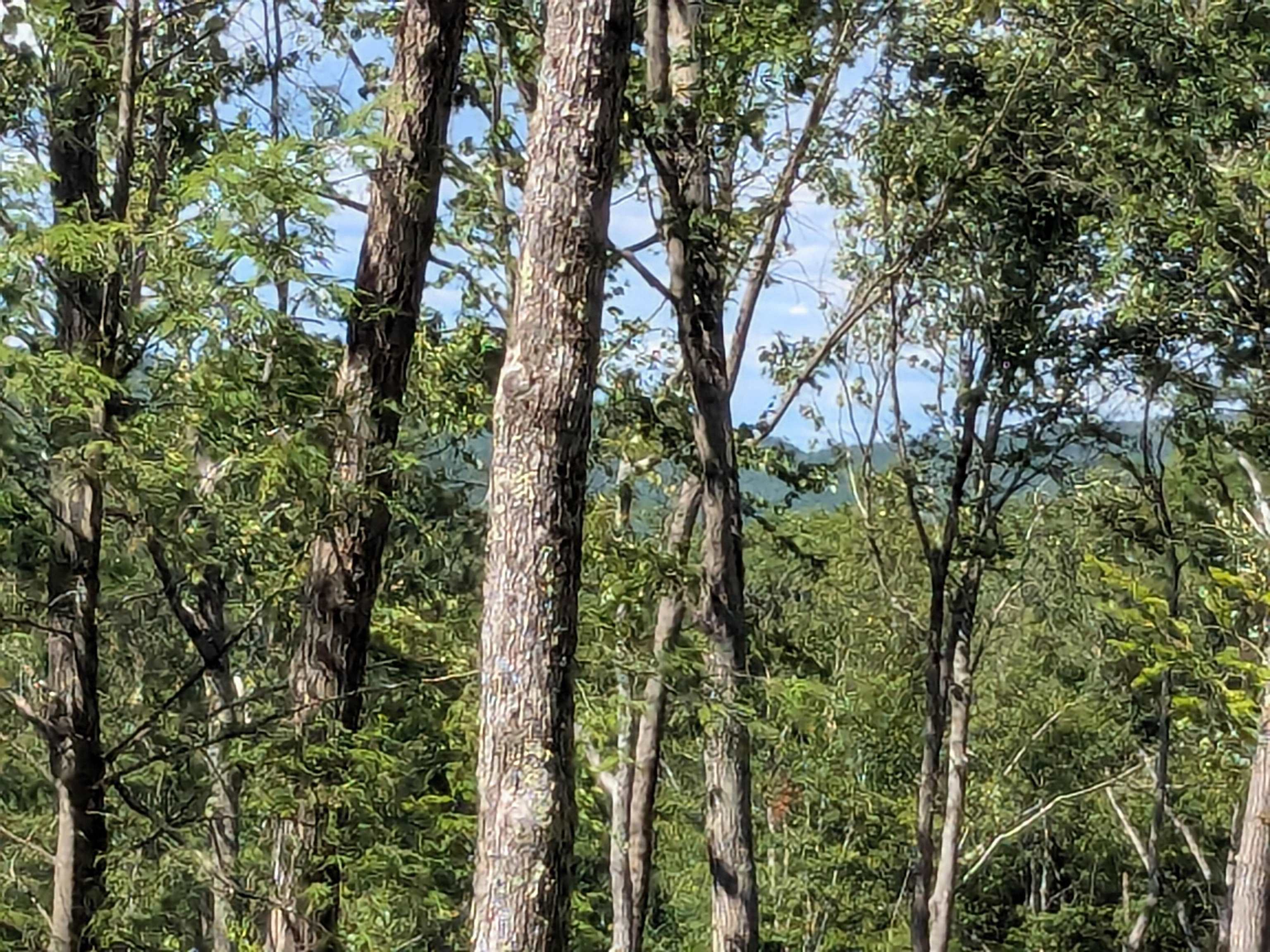 0 Old Hinsdale Road Winchester, NH 03470 - Photo 9 of 16