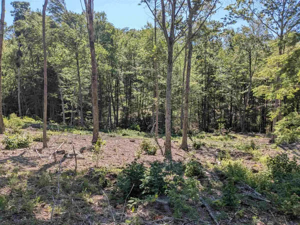 $169,900 | 0 Old Hinsdale Road, Winchester, NH 03470