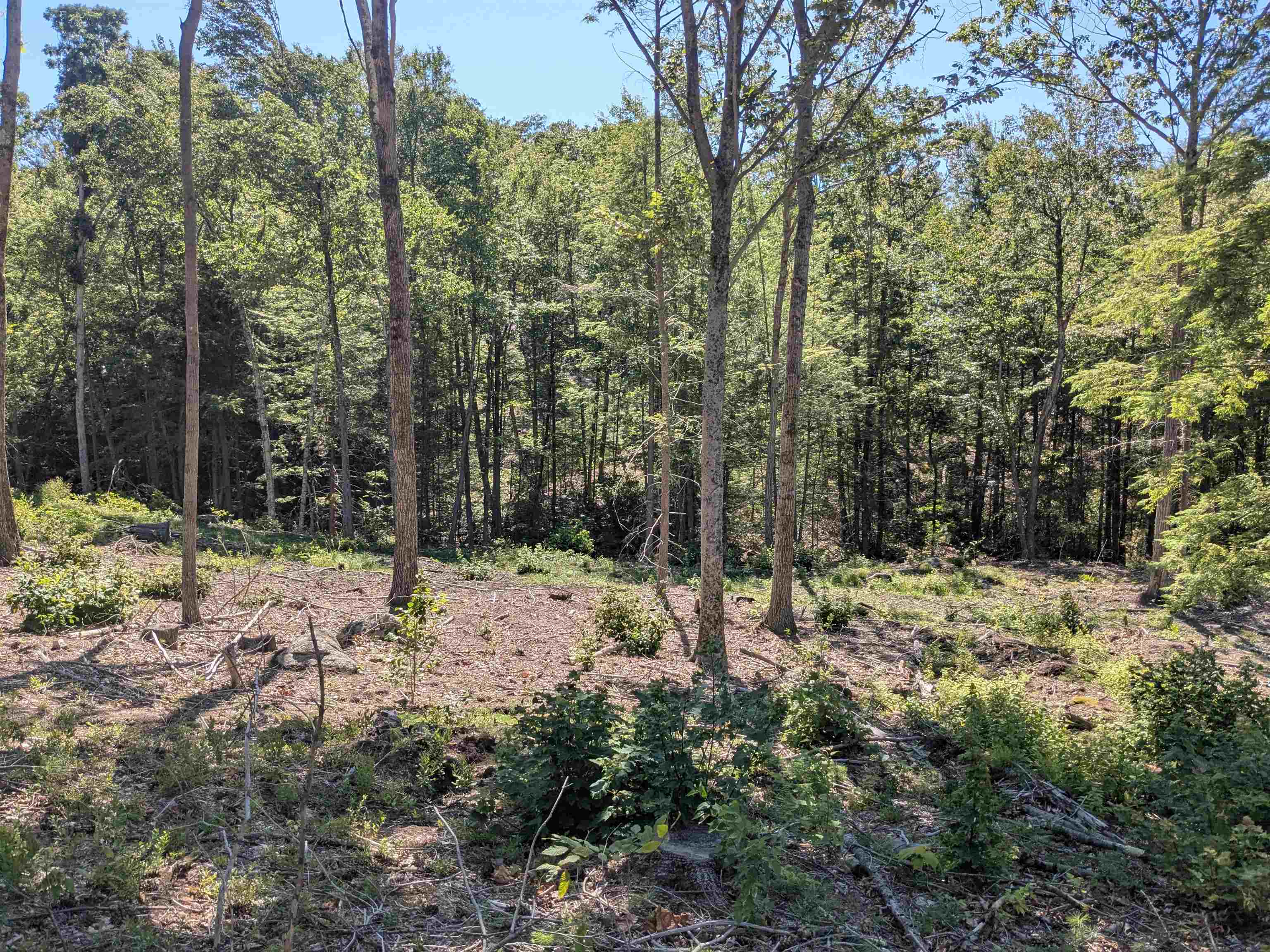 0 Old Hinsdale Road Winchester, NH 03470 - Photo 10 of 16