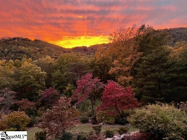 84 Eagle Rock Road Landrum, SC 29356 - Photo 2 of 36