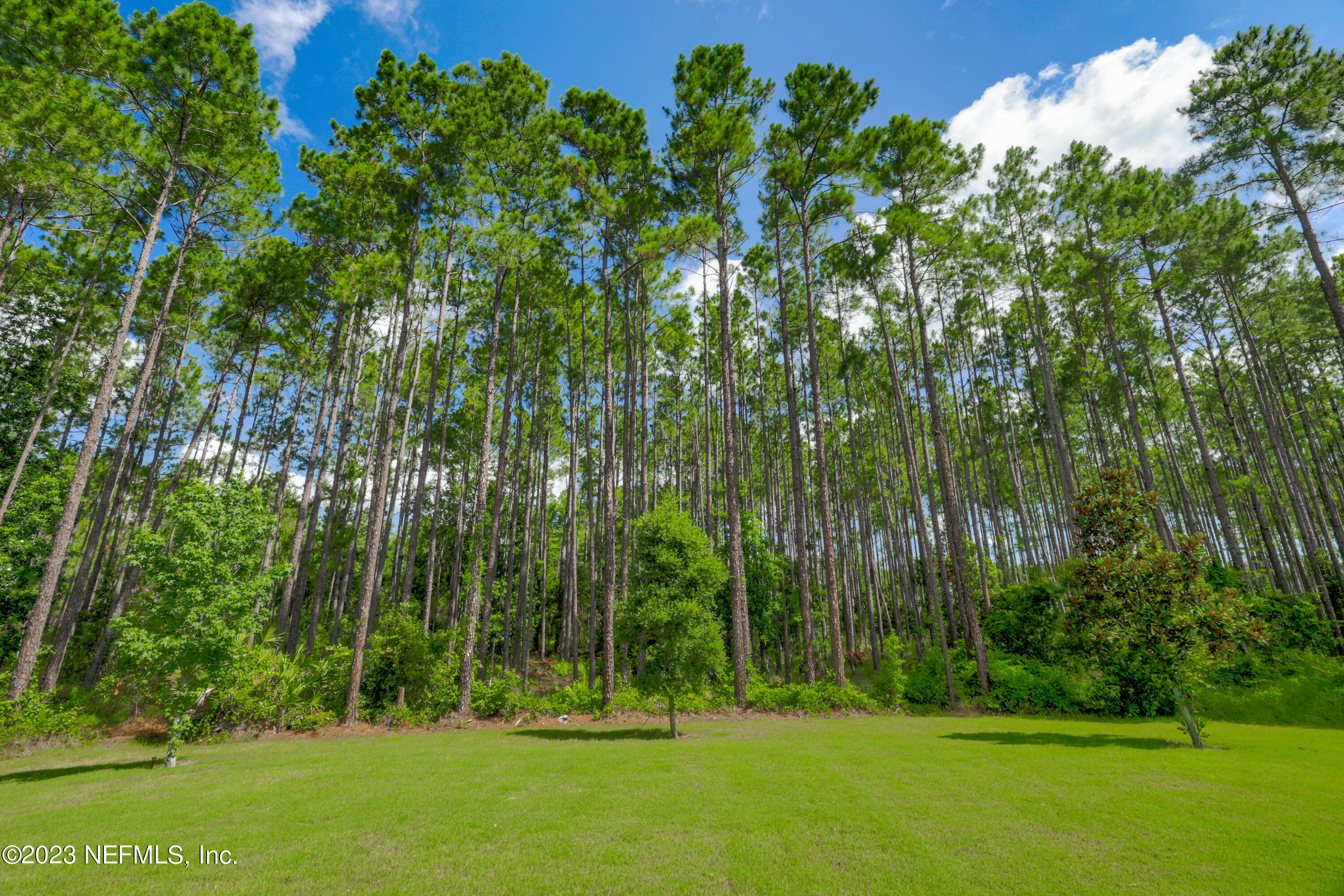 370 Coco Point St. Augustine, FL 32092 - Photo 36 of 48 a view of a backyard