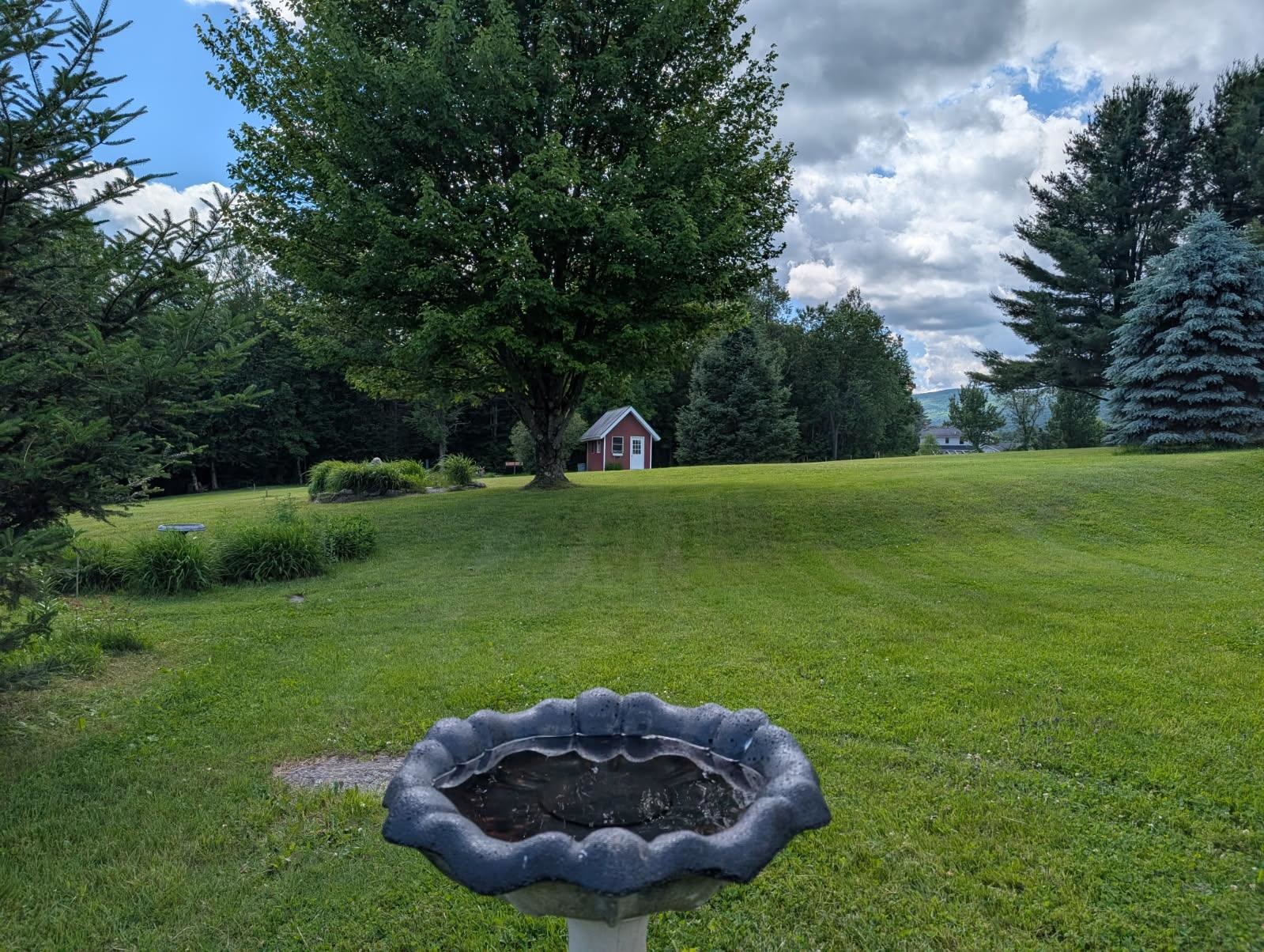 1257 Sniderbrook Road Westfield, VT 05874 - Photo 7 of 27