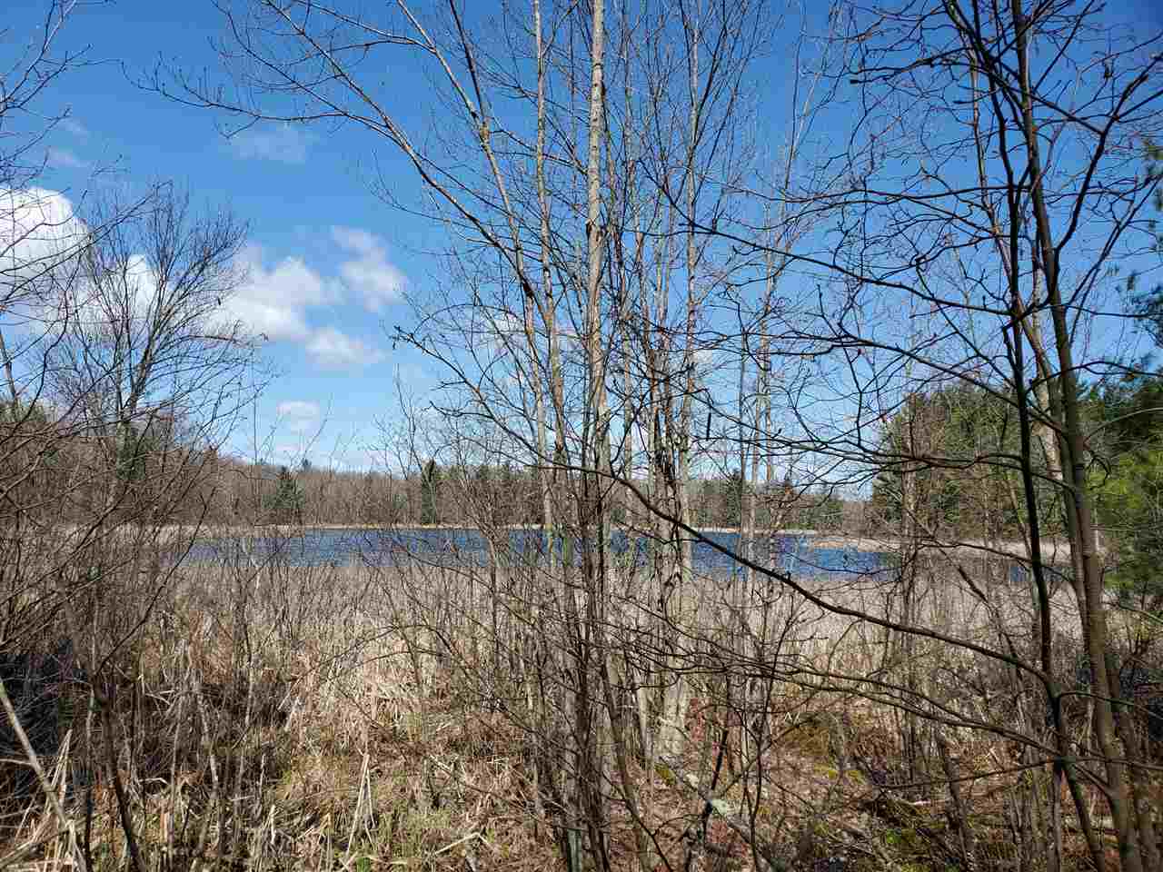 21 Forman Baldwin, MI 49304 - Photo 1 of 1