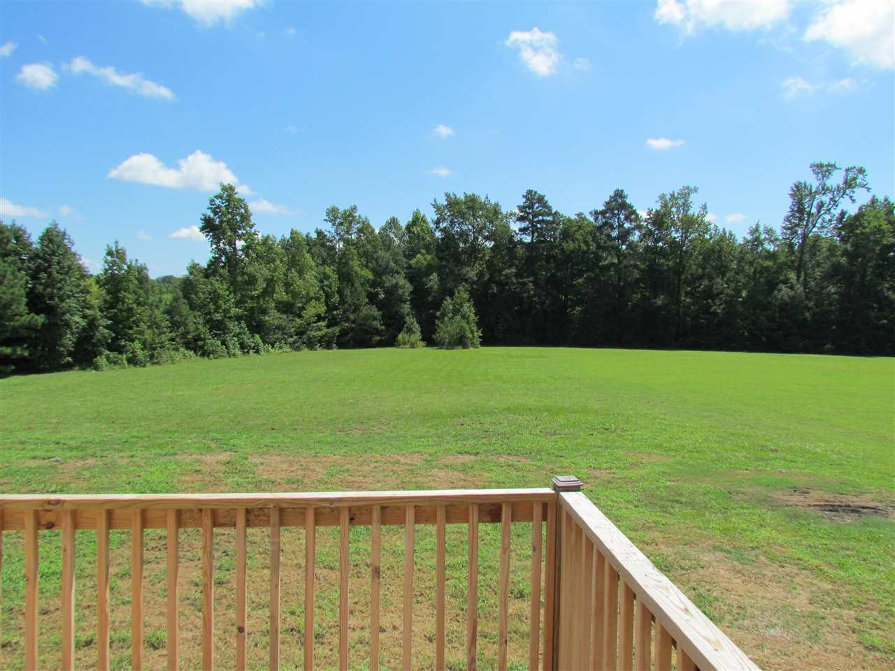 1174 Hood Farm Road Clayton, NC 27520 - Photo 3 of 14 Photo 3