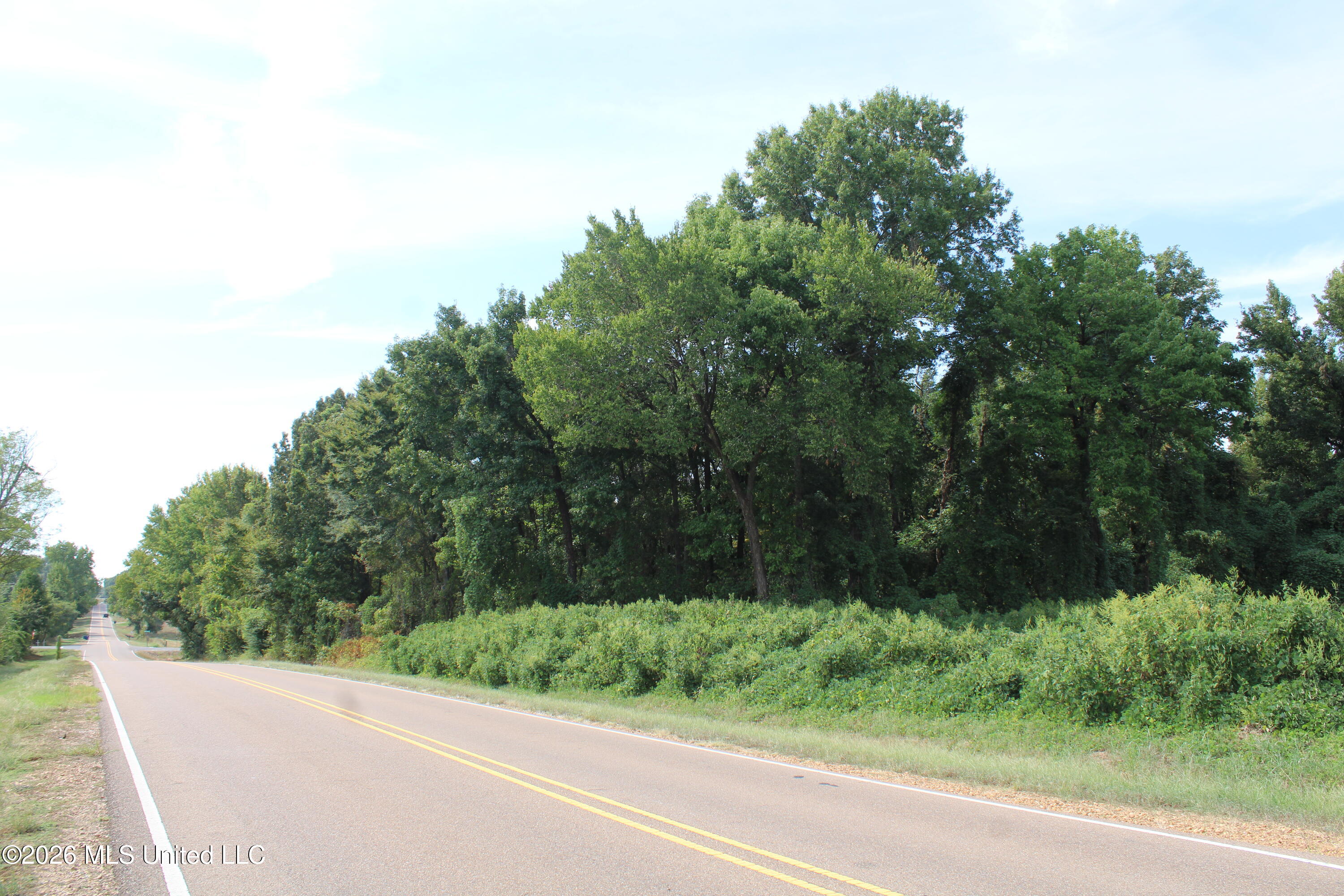 15 Tulane Road Nesbit, MS 38651 - Photo 37 of 64 IMG_8205