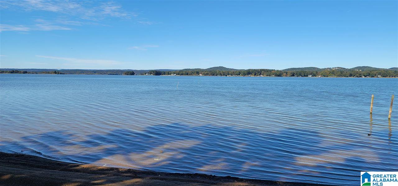 2500 Moneys Bend Road Cedar Bluff, AL 35959 - Photo 8 of 9