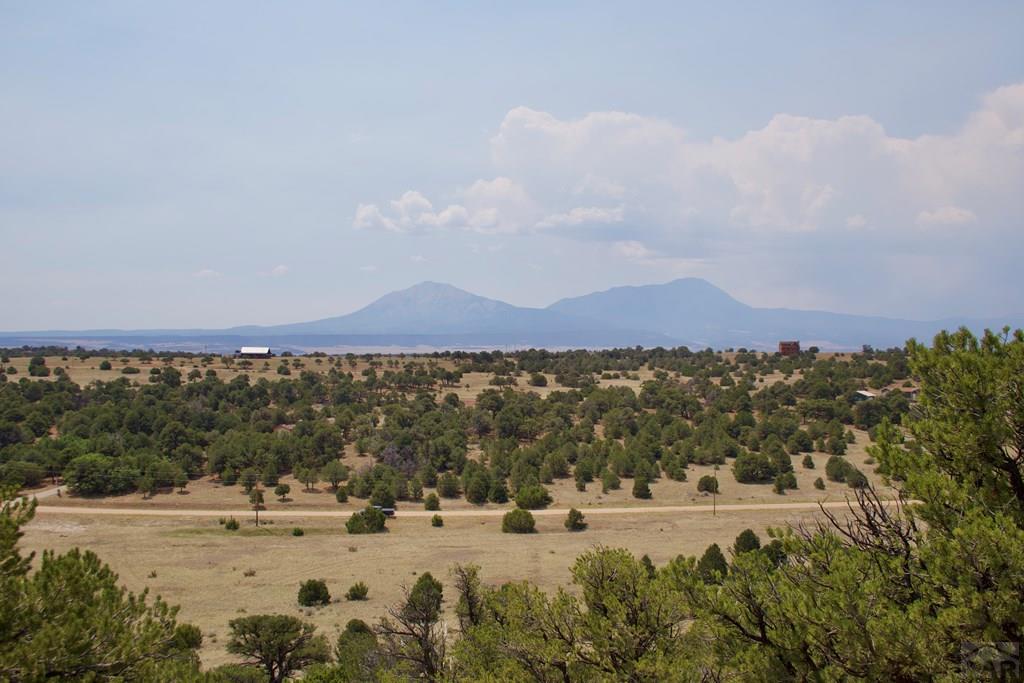 Unit #4 Unit Road Walsenburg, CO 81089 - Photo 2 of 36