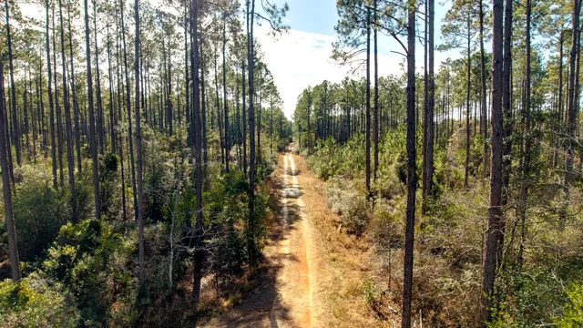 a view of outdoor space and garden