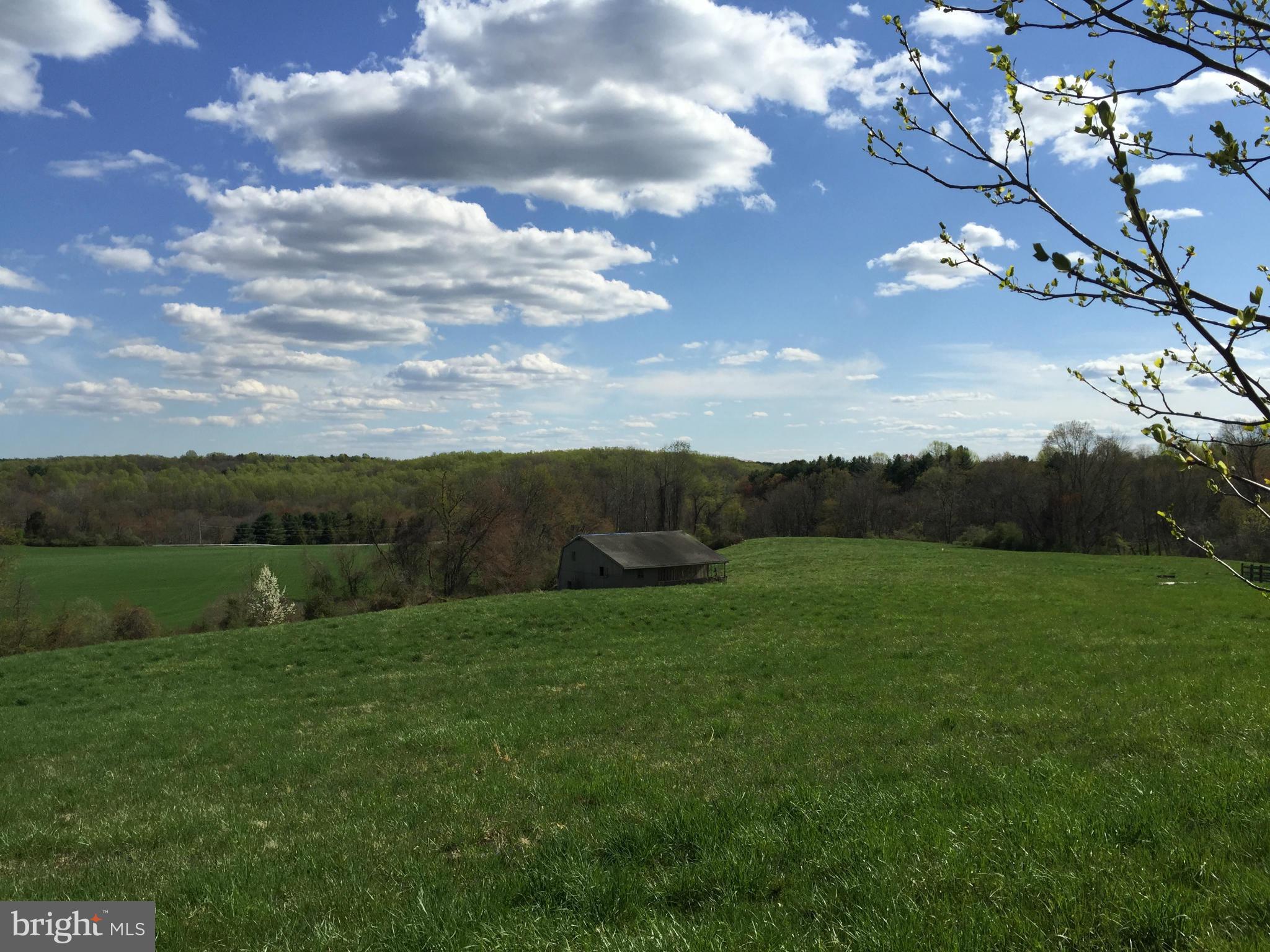 16960 Gerting Road Monkton, MD 21111 - Photo 5 of 8 a view of a big yard with green space