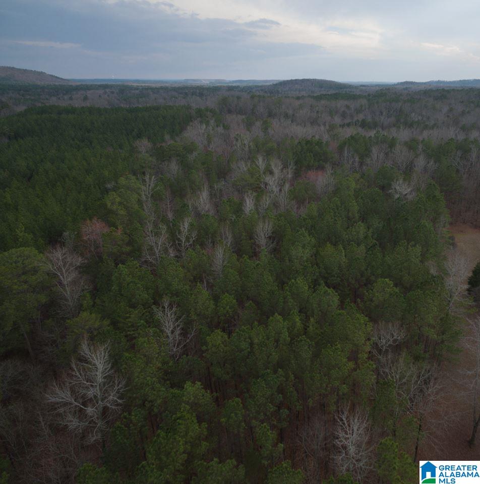 Deer Run Road, Unit 2 Alabaster, AL 35007 - Photo 6 of 6