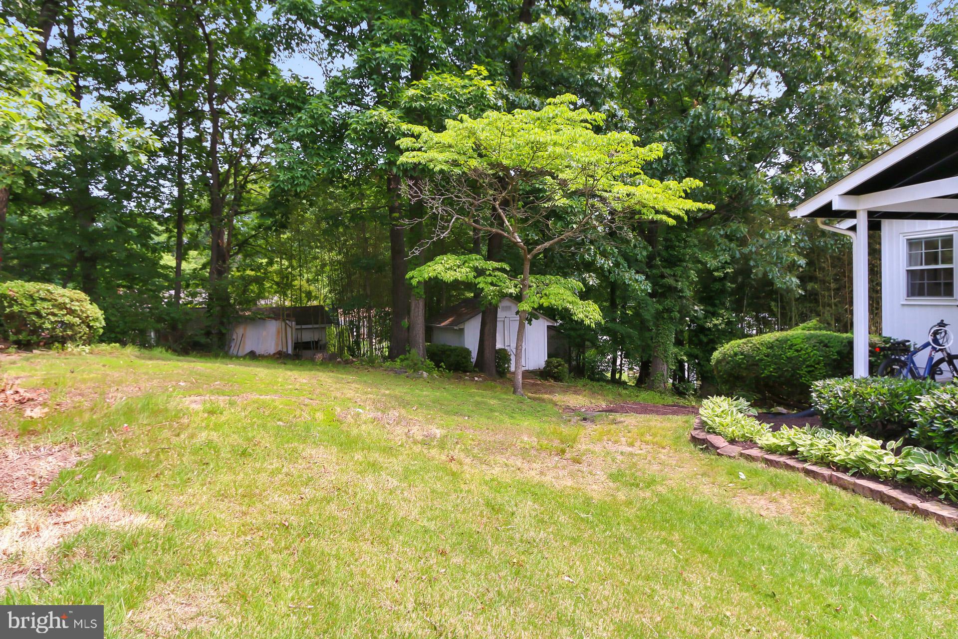 6401 Limerick Court Springfield, VA 22152 - Photo 39 of 50 Huge yard