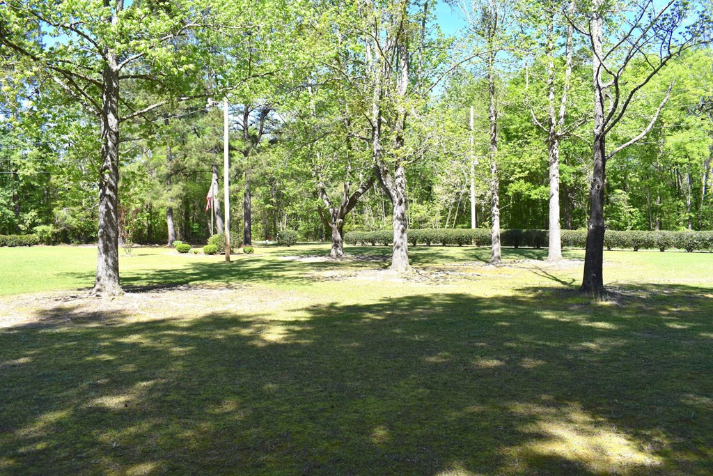 6917 Bill Davis Road Summerton, SC 29148 - Photo 10 of 29