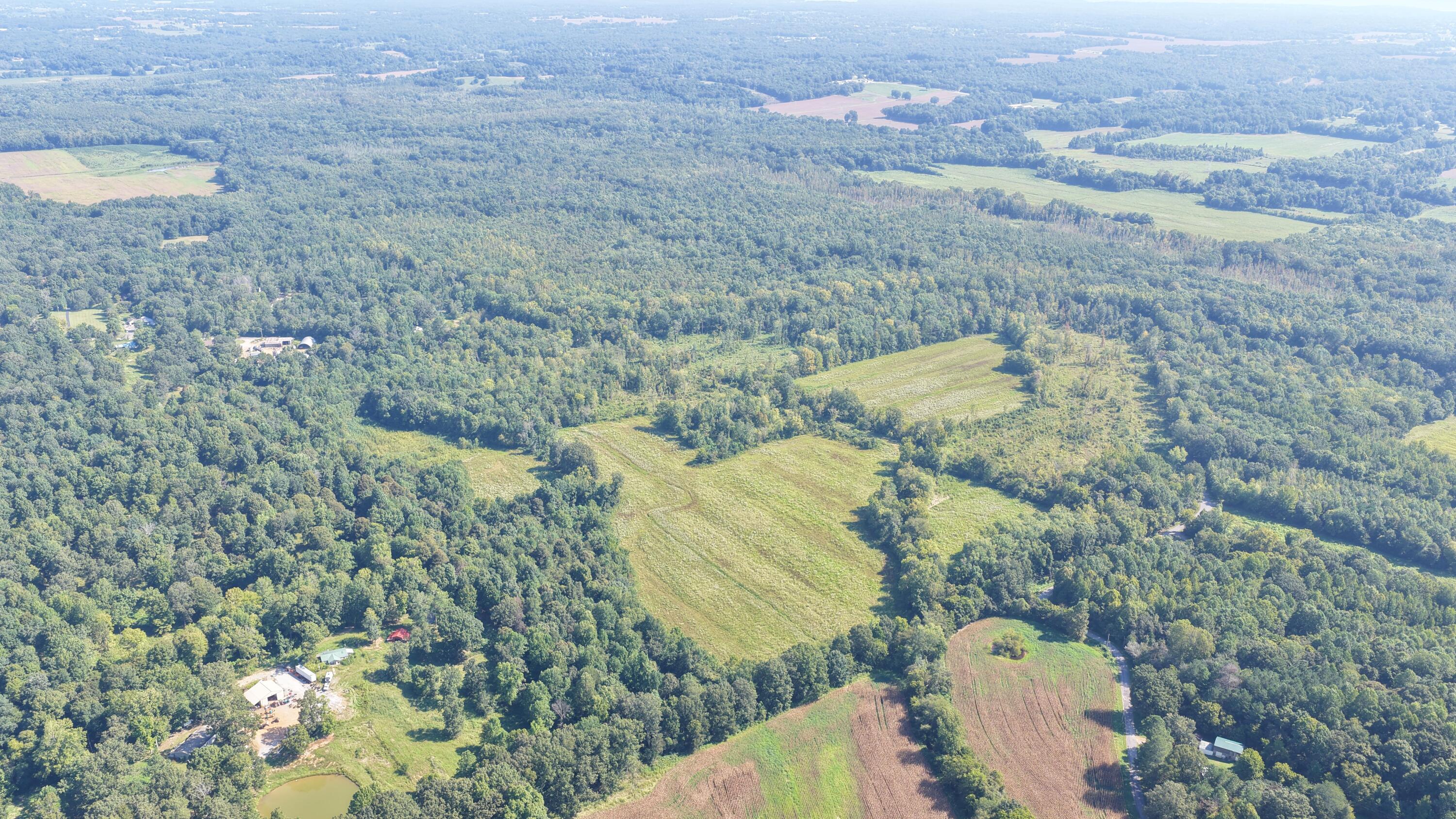 0 Dogtown Road Benton, KY 42025 - Photo 11 of 18 DJI_20260902131831_0018_D