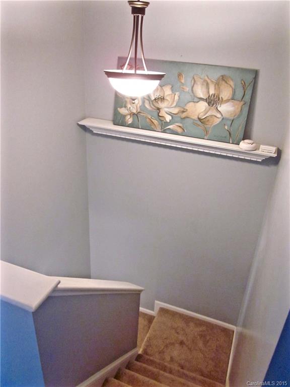 9237 Cedar River Road Huntersville, NC 28078 - Photo 19 of 22 Gallery Image 19