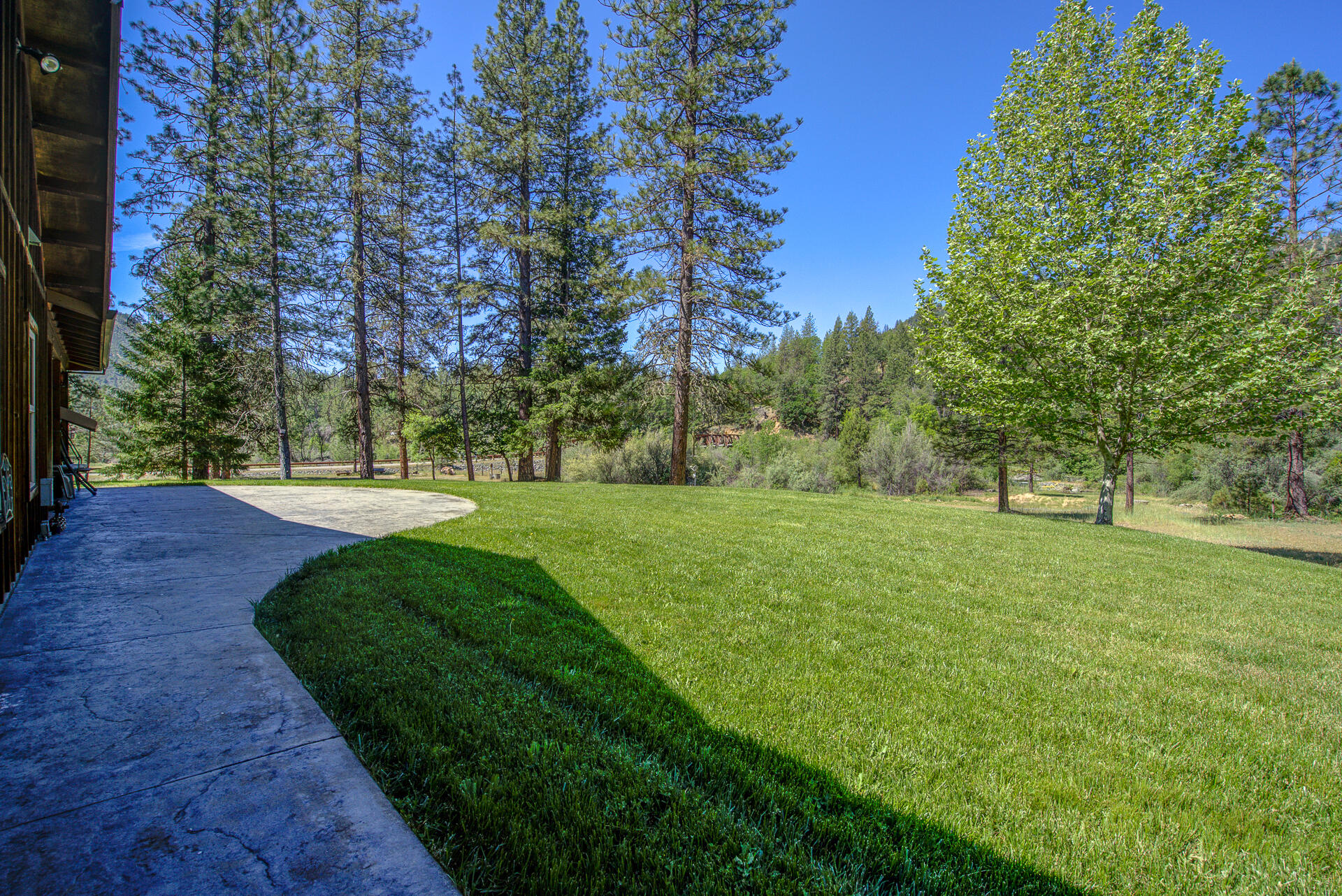 2490 Goose Ranch Road Lewiston, CA 96052 - Photo 27 of 38 a view of a yard with a tree