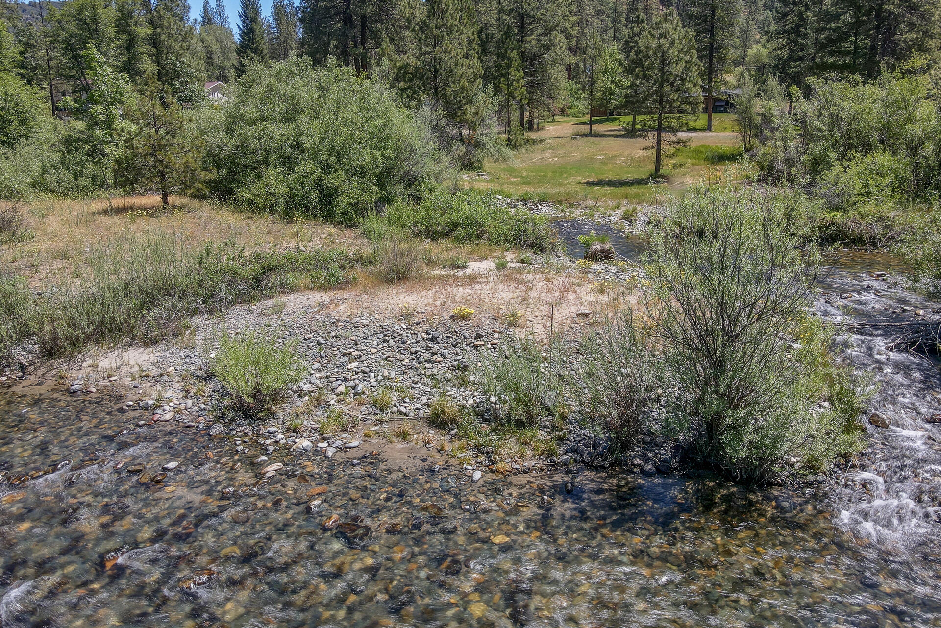 2490 Goose Ranch Road Lewiston, CA 96052 - Photo 37 of 38 a view of a forest with trees in the background