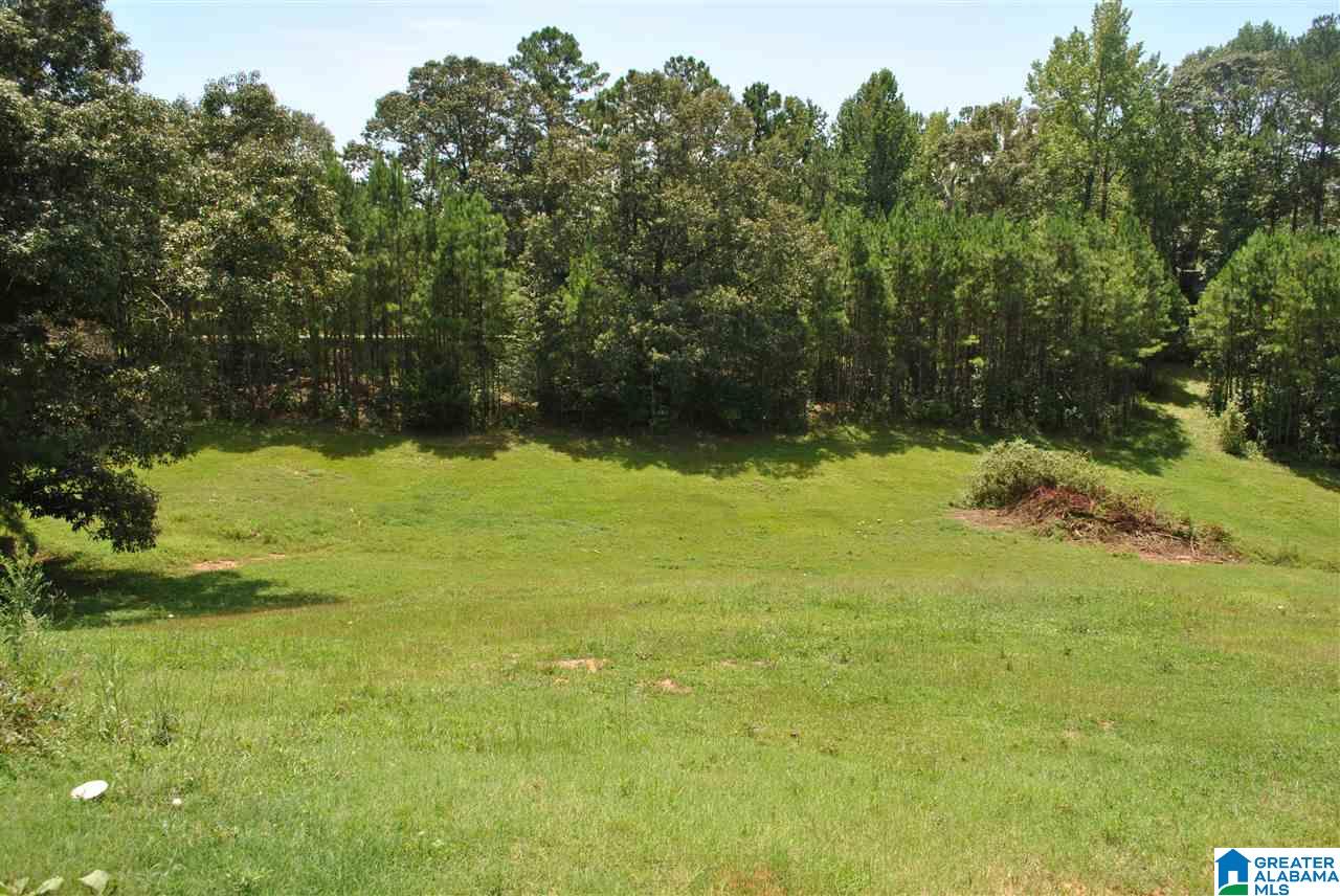 452 Turtleneck Road Alexander City, AL 35010 - Photo 25 of 29