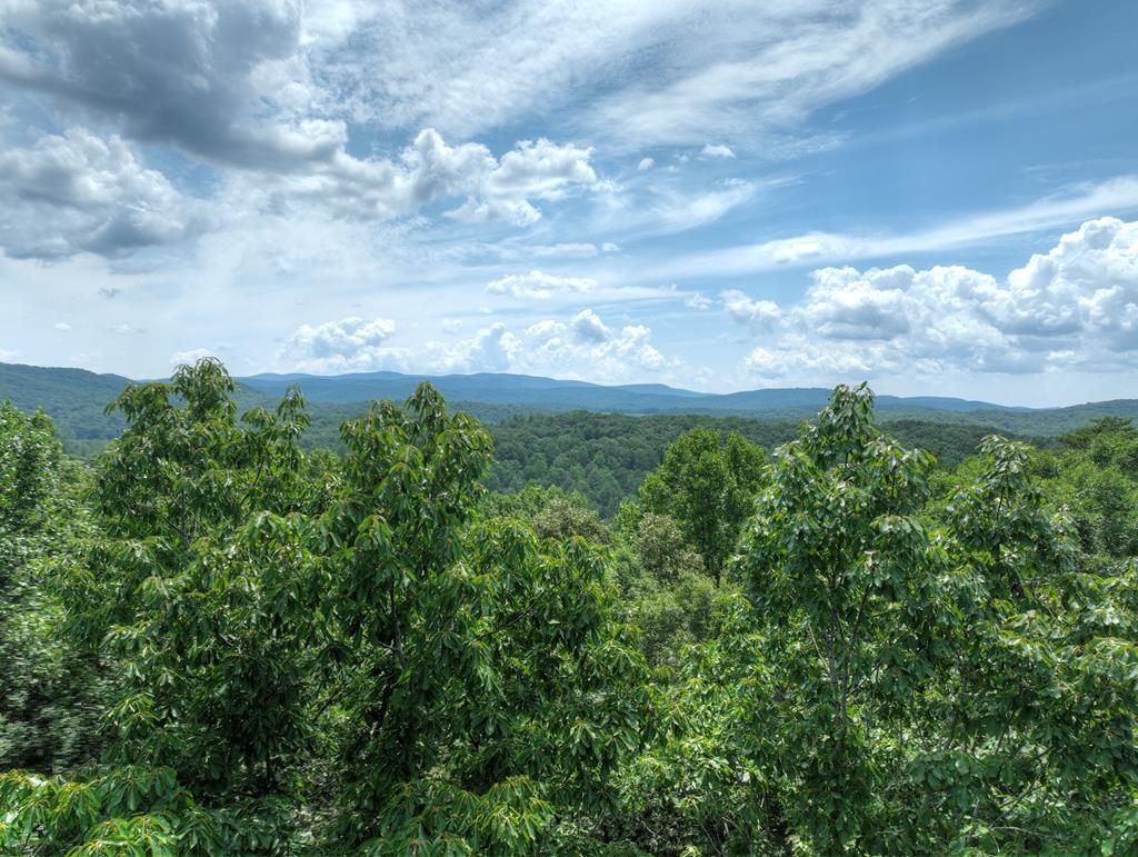 27 R Tanager Trail Ellijay, GA 30536 - Photo 4 of 60 Long rang views which could be expanded with vista