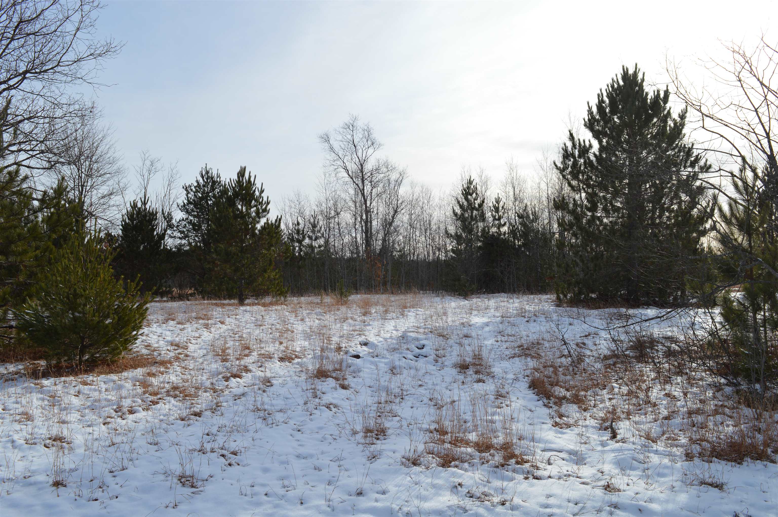 Off Wood Road Northeast Kalkaska, MI 49646 - Photo 11 of 22