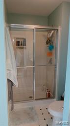 11625 Denny Road St. Louis, MO 63126 - Photo 25 of 48 Gallery Image 25