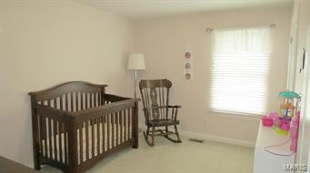 11625 Denny Road St. Louis, MO 63126 - Photo 28 of 48 Gallery Image 28