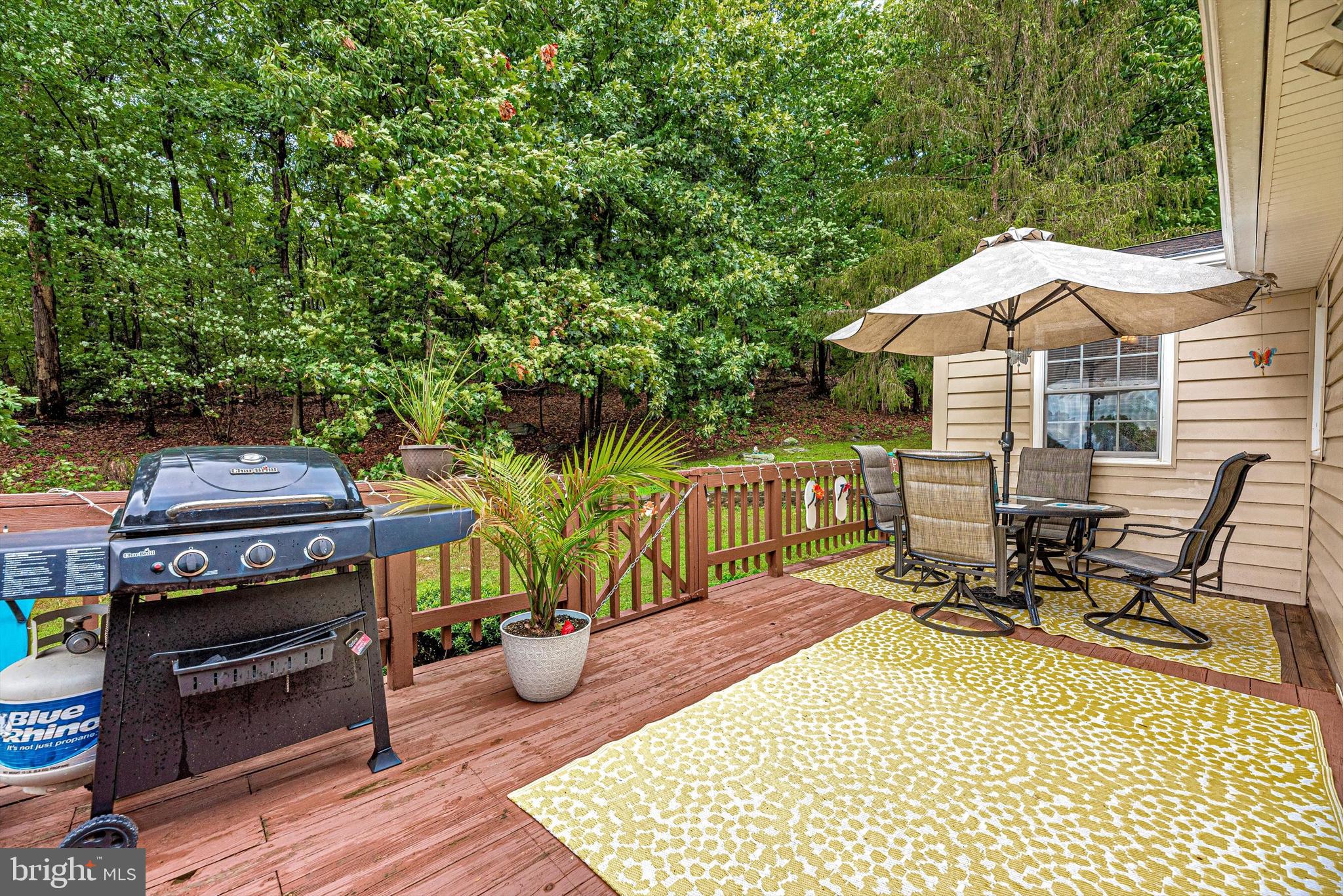 8434 Reno Monument Road Middletown, MD 21769 - Photo 29 of 44 Time for a BBQ!