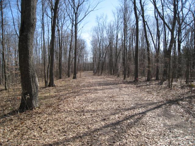 Lot 3 Hungry Lake Road Weyerhaeuser, WI 54895 - Photo 1 of 1 Gallery Image 1