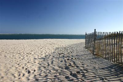 31 Hallet Lane Chatham, MA 02633 - Photo 1 of 22 a view of an ocean beach