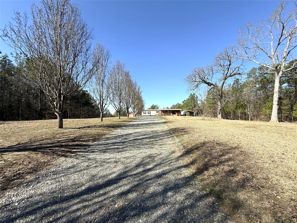 1605 Marsalis Road Homer, LA 71040 - Photo 1 of 1 View of street with gravel driveway