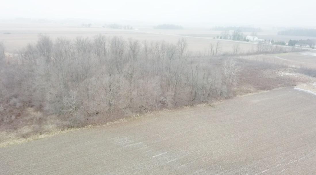 5001 Brown Road Ansonia, OH 45303 - Photo 5 of 7