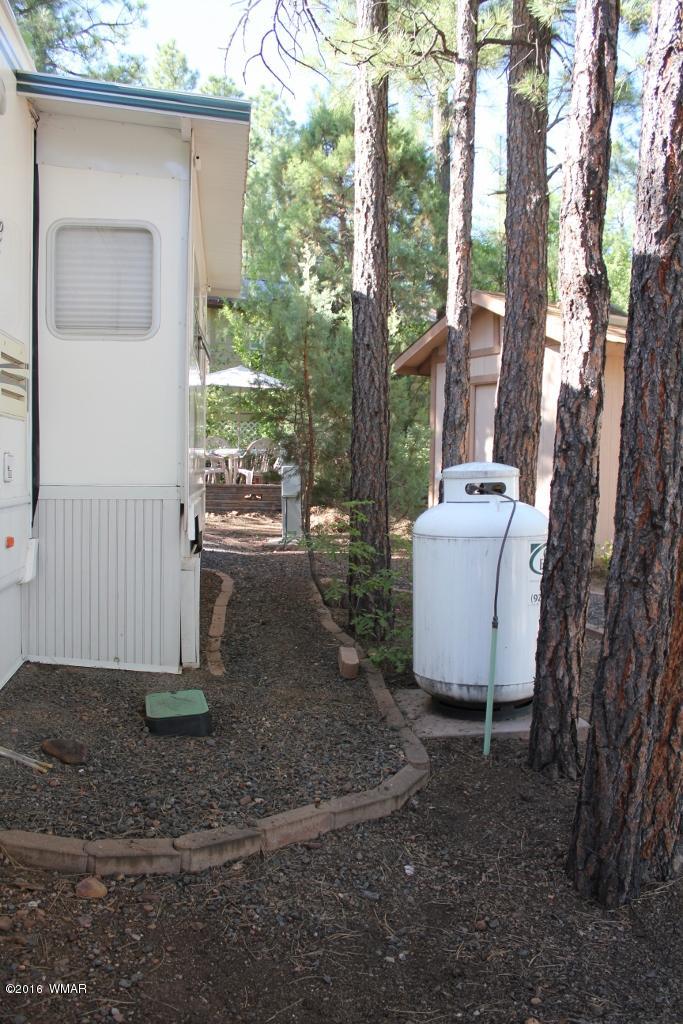 2221 Turtle Creek Road, Unit 182 Show Low, AZ 85901 - Photo 33 of 33