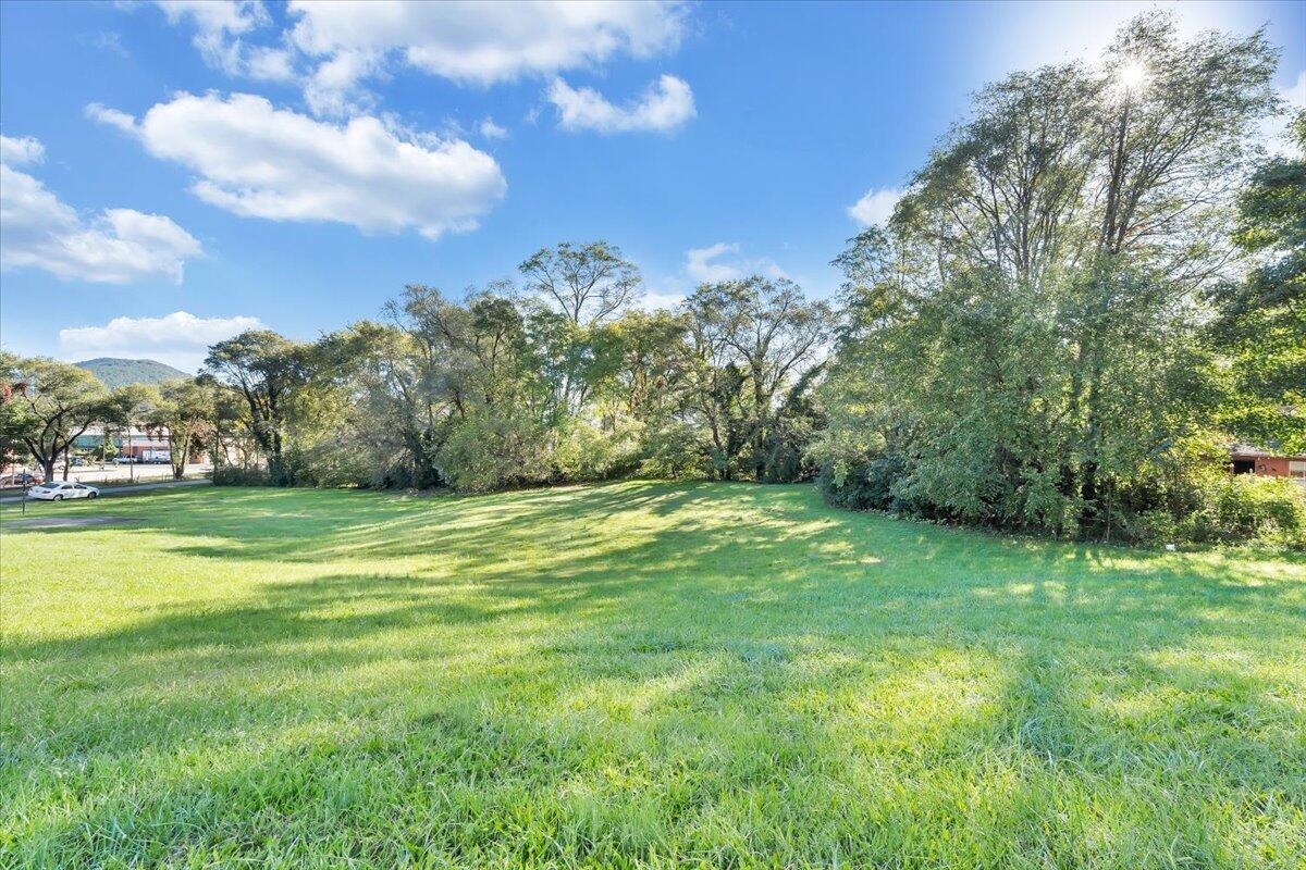 2-3 Plantation Road Northeast Roanoke, VA 24012 - Photo 9 of 13 a view of field with tall trees