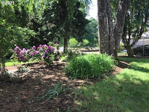 88404 Stephens Road Springfield, OR 97478 - Photo 11 of 20