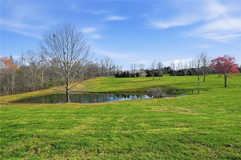 7755 Blacks Mill Road Dawsonville, GA 30534 - Photo 7 of 9