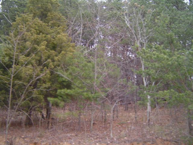Lot 6 Monty Road Boones Mill, VA 24065 - Photo 1 of 1 Kings Grant